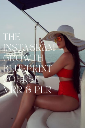 The Instagram Growth Blueprint Course - MRR & PLR